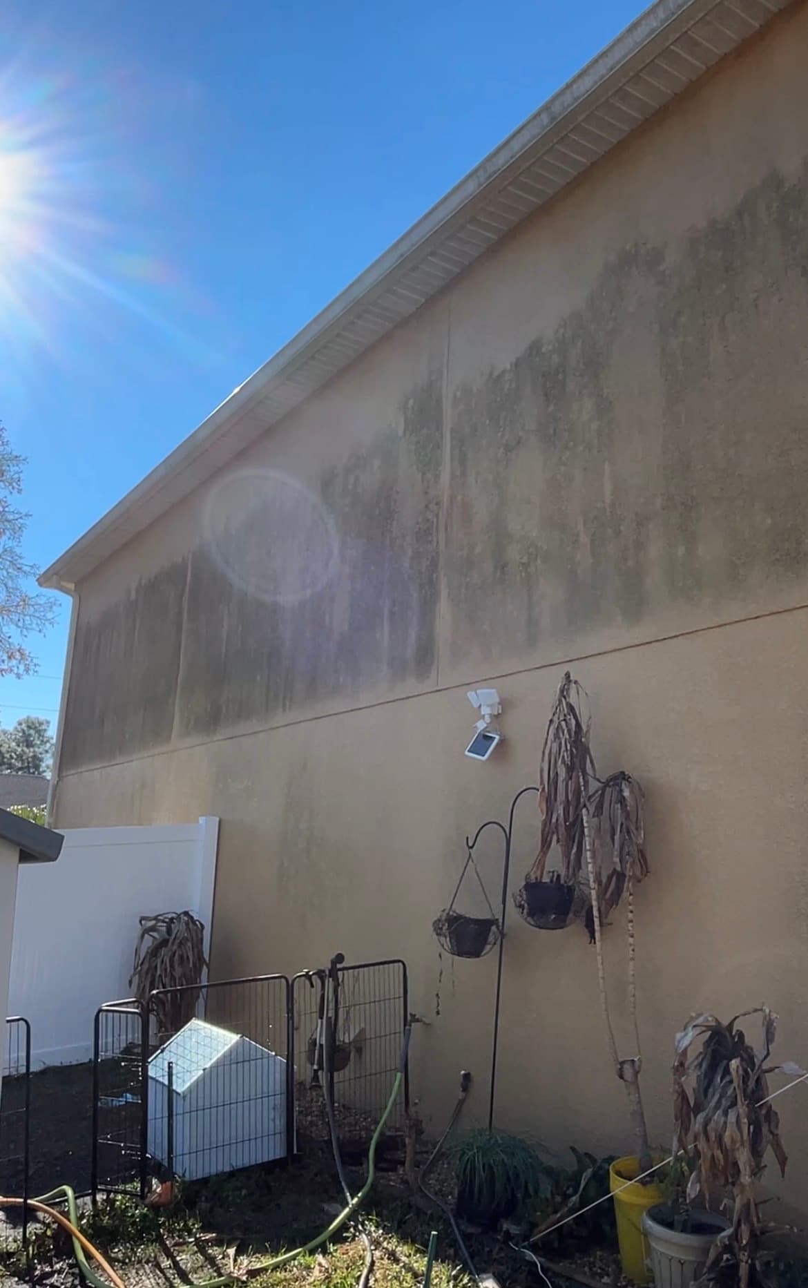 Before: Green mildew covering exterior stucco wall of a home in Spring Hill FL