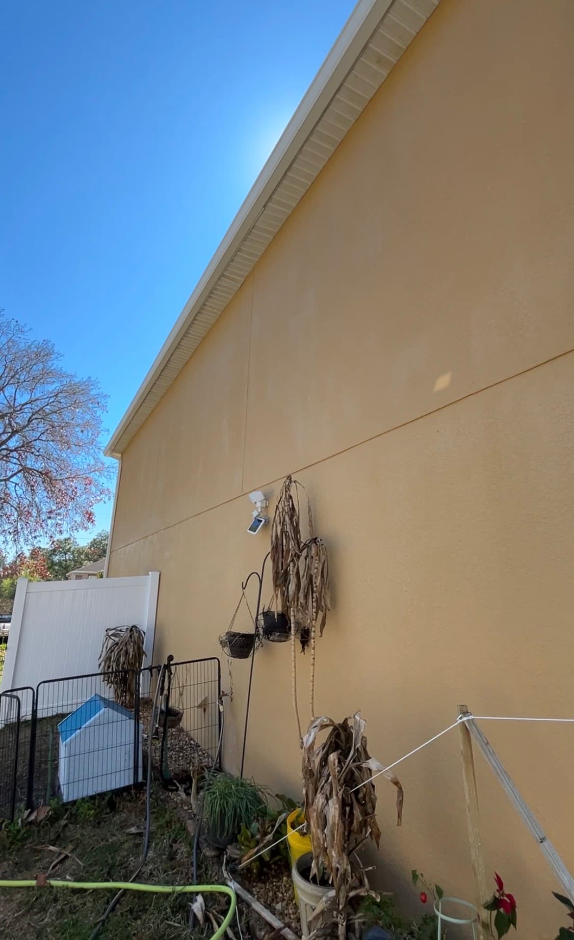 After: Clean stucco wall after mildew removal by Black Lab Power Wash in Spring Hill FL