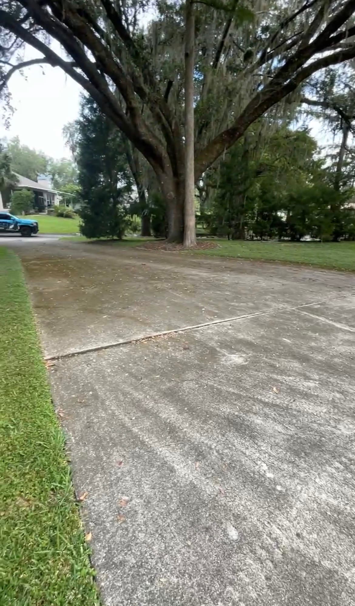 Before: Dirty concrete driveway with algae and weather staining in Spring Hill FL