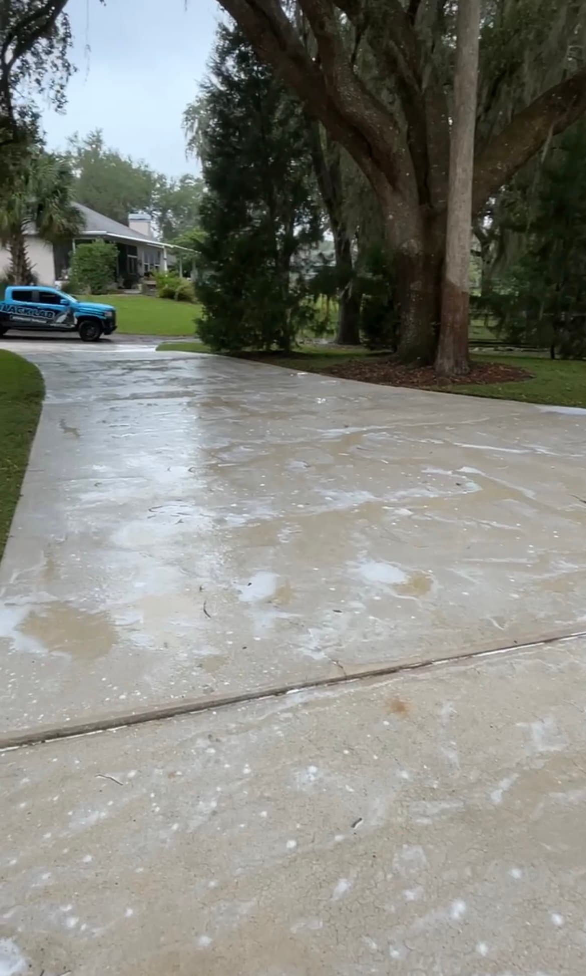 After: Clean concrete driveway after pressure washing by Black Lab Power Wash in Spring Hill FL