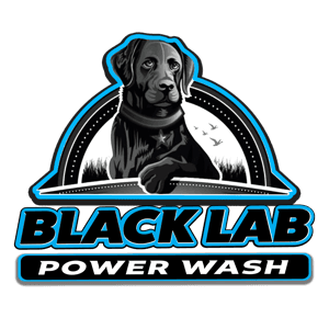 Black Lab Power Wash