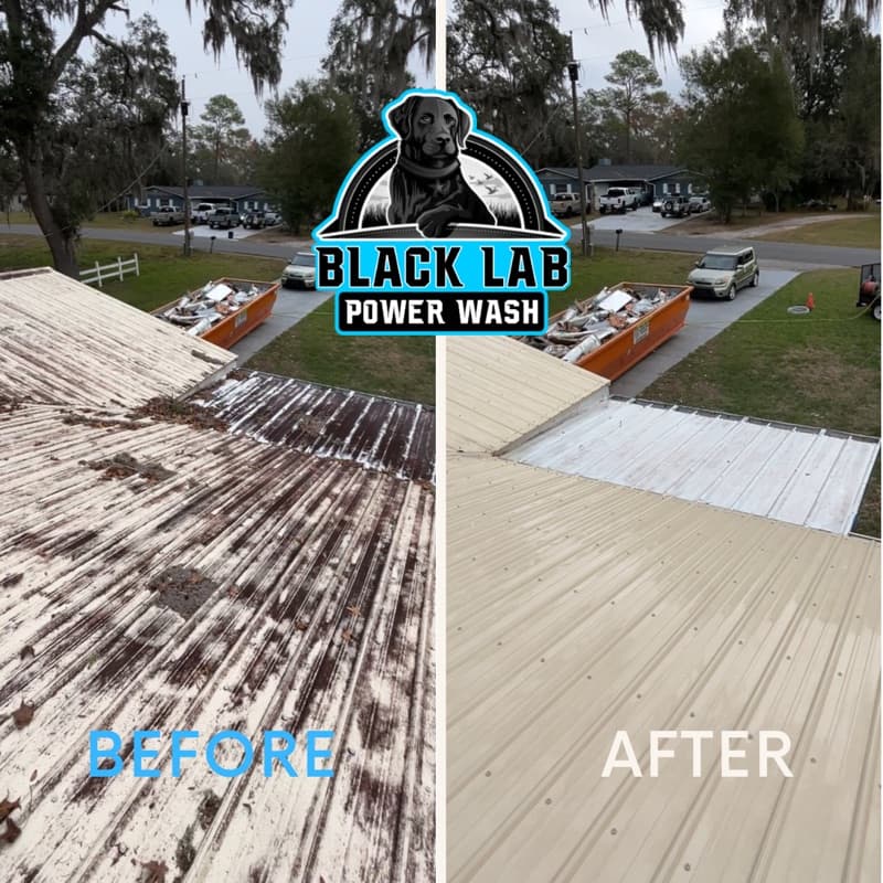 Roof soft wash before and after - Spring Hill FL