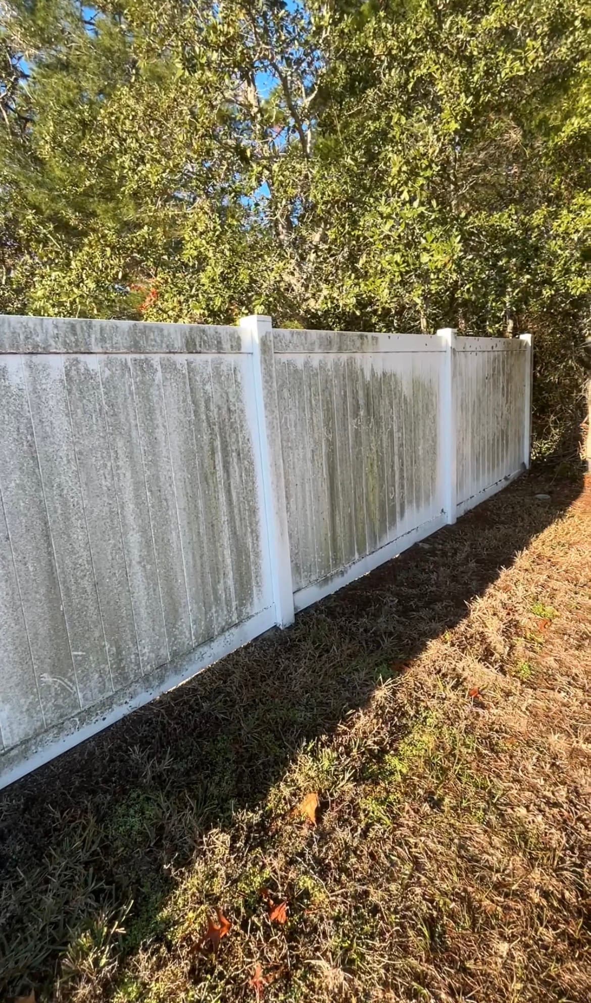 Before: Dirty vinyl fence covered in green algae and mold in Spring Hill FL