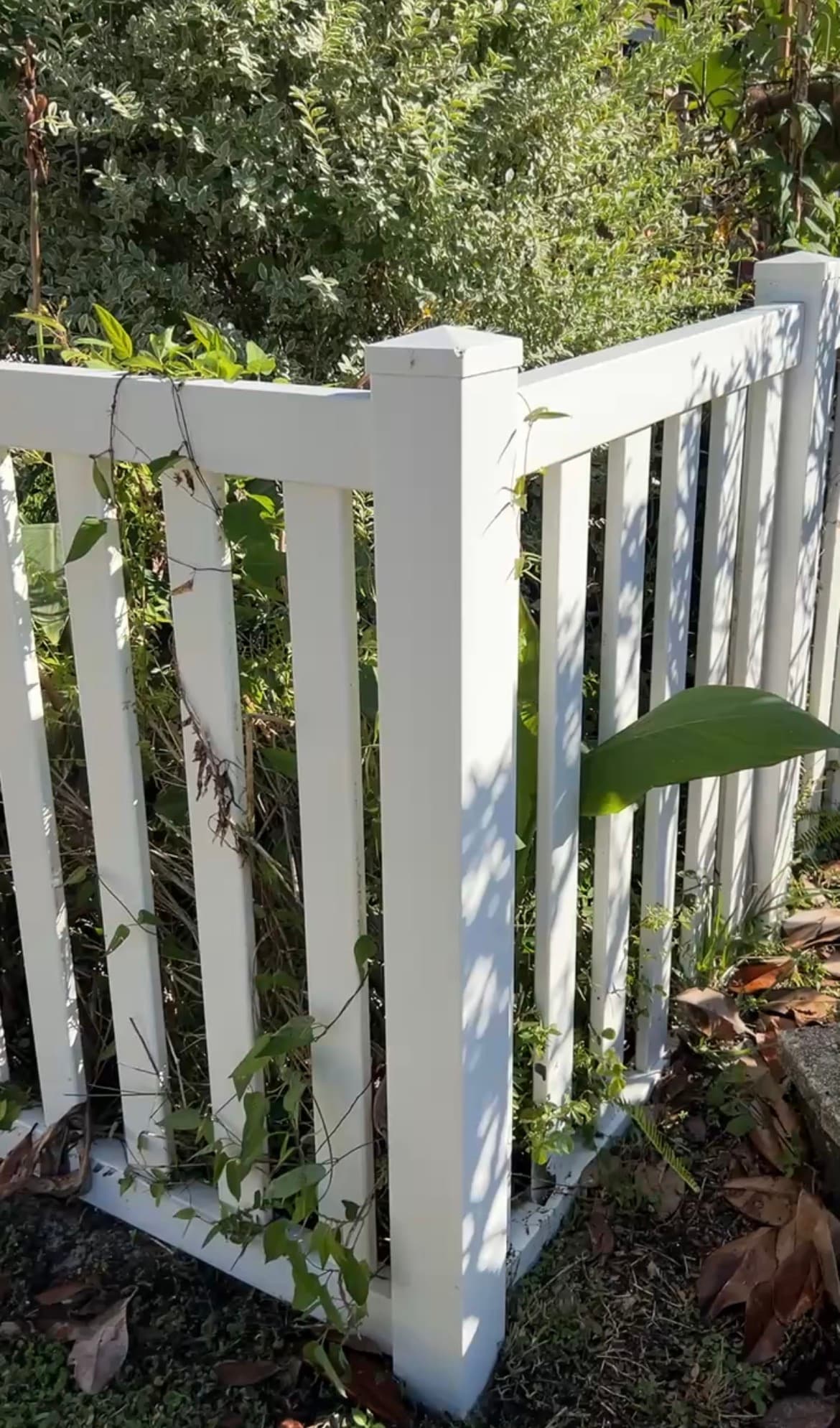 Clean bright white vinyl fence after cleaning by Black Lab Power Wash in Brooksville FL