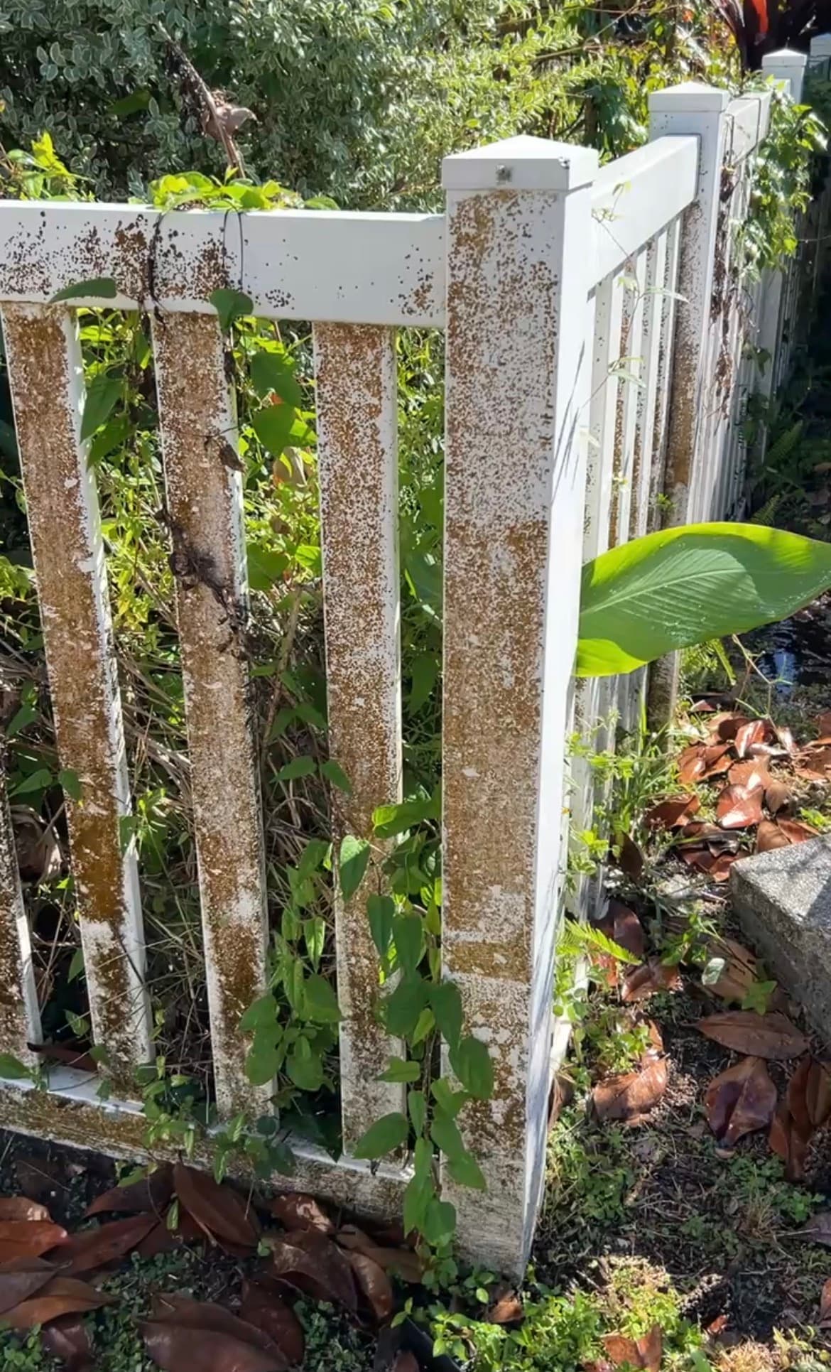 Dirty stained vinyl fence before cleaning in Brooksville FL