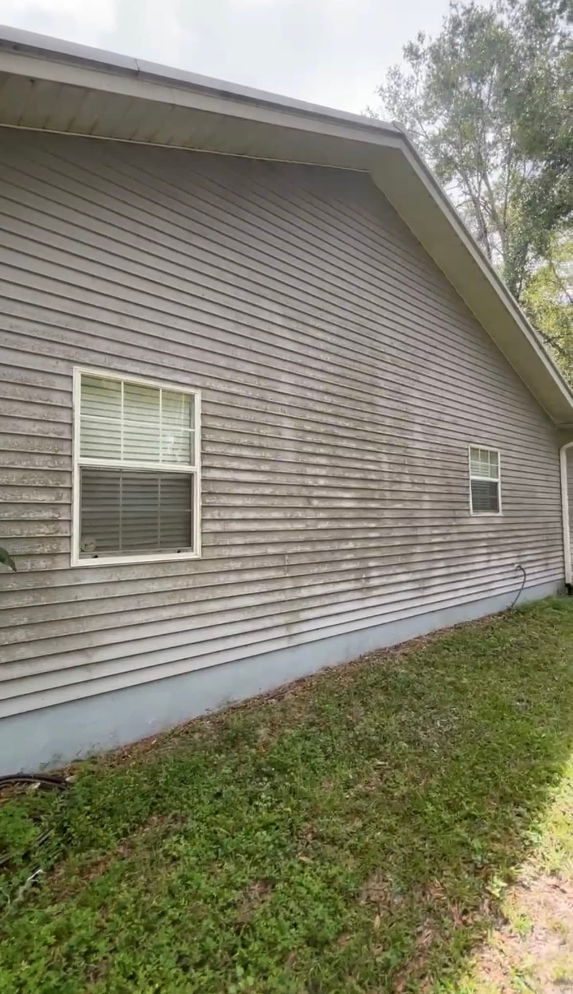 Dirty vinyl siding with mildew streaks before house washing in Brooksville FL