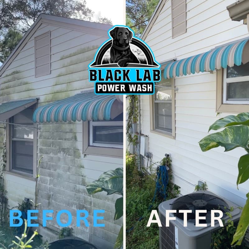 House washing before and after - Hernando County FL